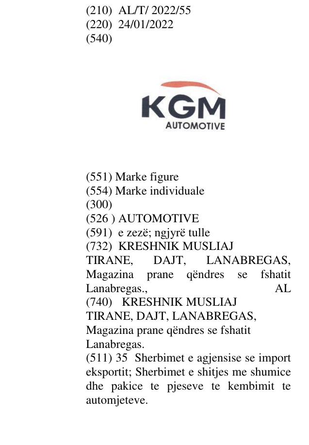 Zëri i markës AUTOMOTIVE në buletin