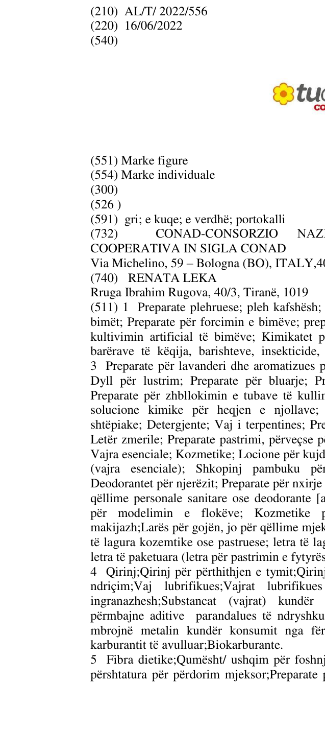 Zëri i markës tuday CONAD në buletin