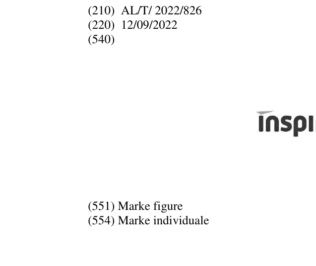 Zëri i markës INSPIRE11 në buletin
