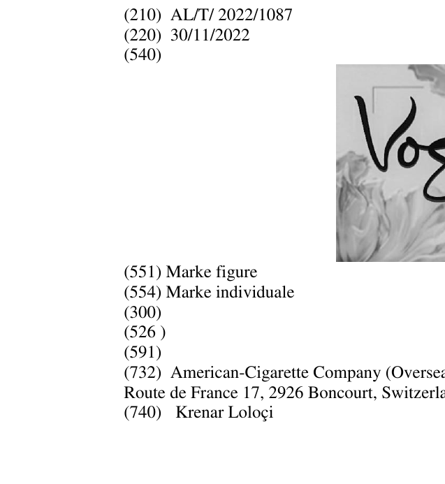 Zëri i markës Vogue në buletin