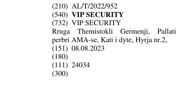 Zëri i markës VIP SECURITY në buletin