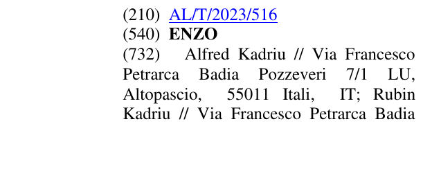 Zëri i markës ENZO në buletin