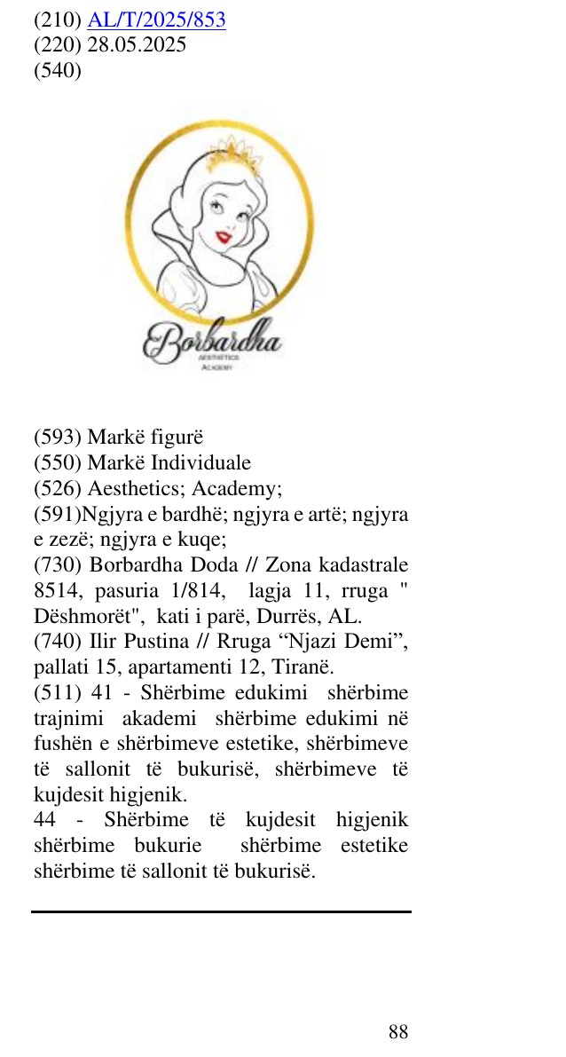 Zëri i markës Aesthetics; Academy; në buletin
