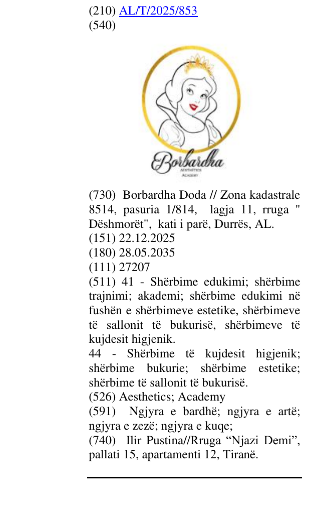 Zëri i markës Aesthetics; Academy në buletin
