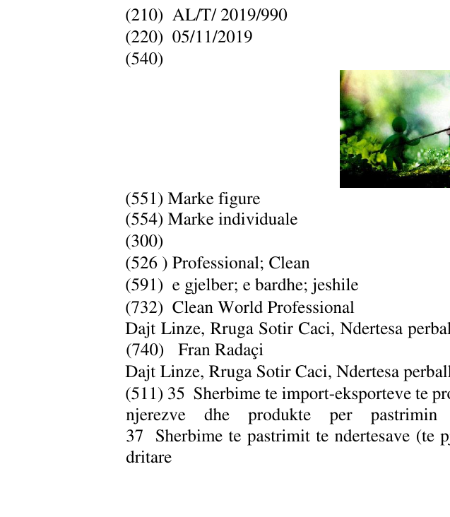 Zëri i markës Professional; Clean në buletin