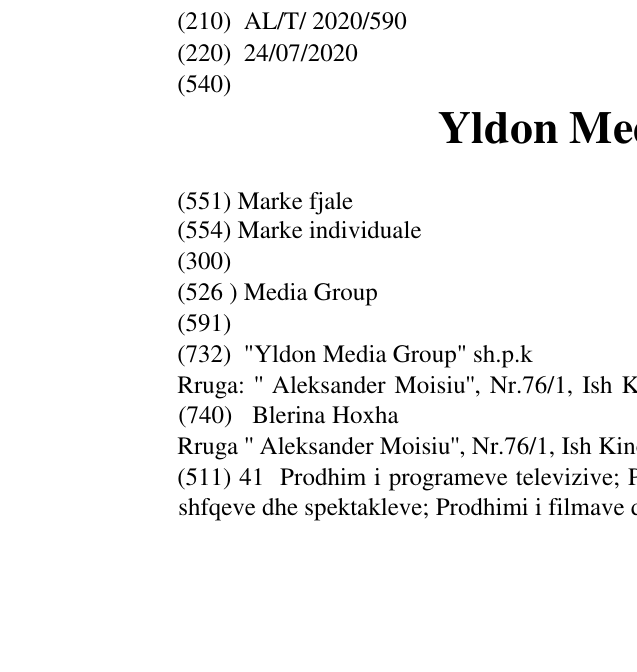 Zëri i markës Yldon Media Group në buletin