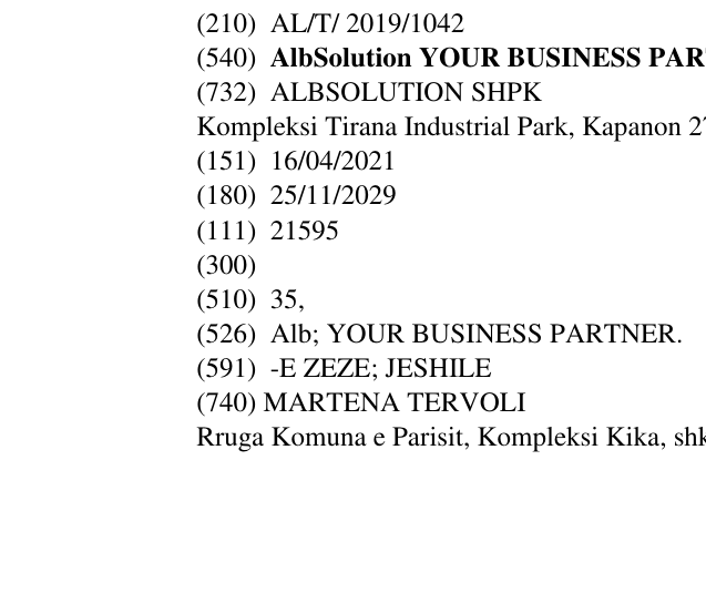 Zëri i markës AlbSolution YOUR BUSINESS PARTNER në buletin