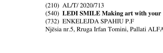 Zëri i markës LEDI SMILE Making art with your në buletin