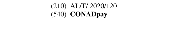 Zëri i markës CONADpay në buletin