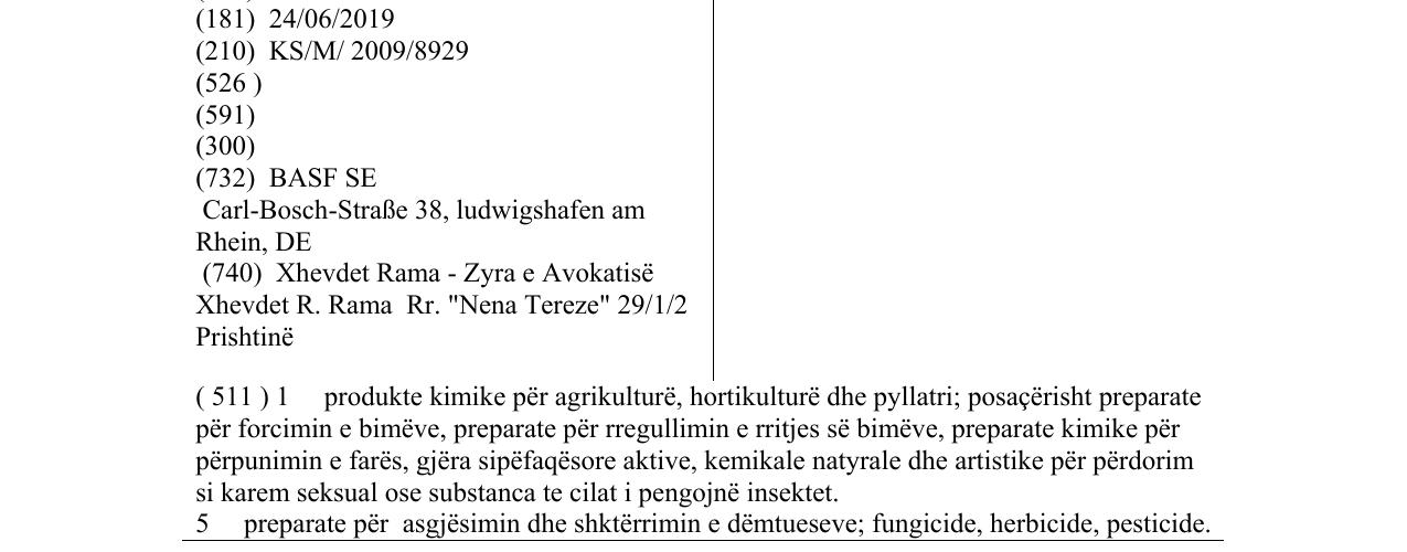 Zëri i markës FOCUS në buletin