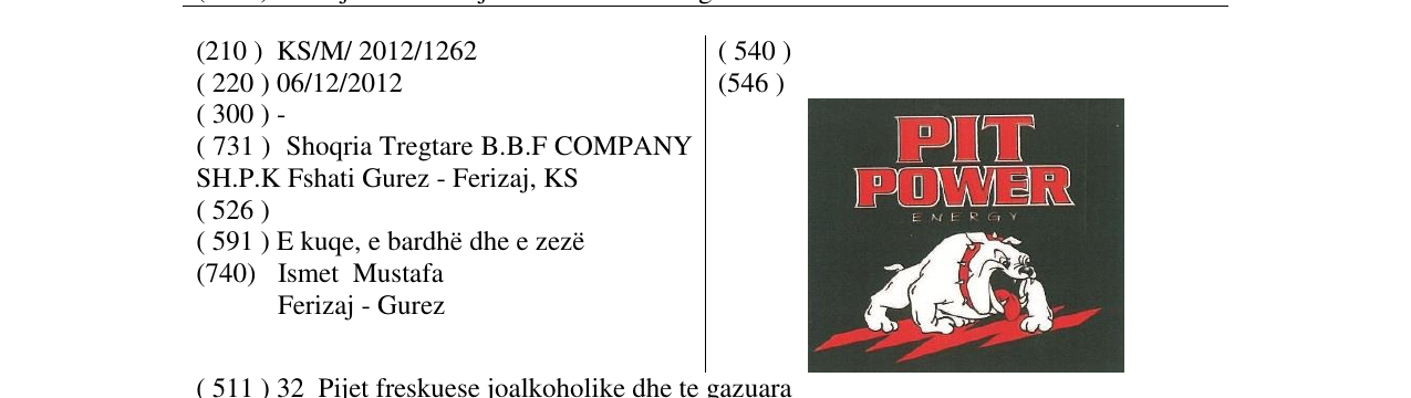 Zëri i markës PIT POWER në buletin