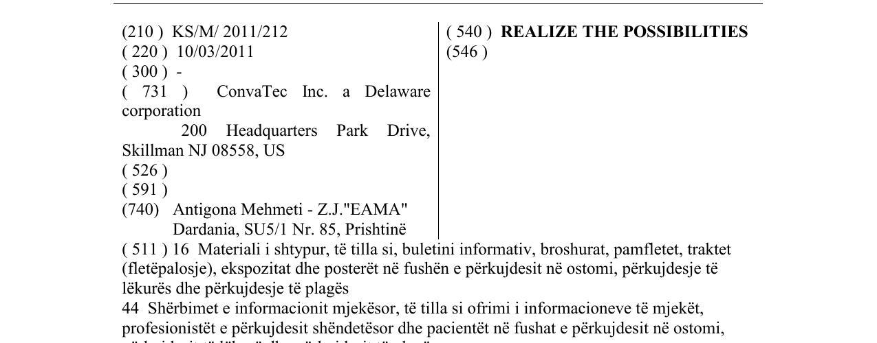 Zëri i markës REALIZE THE POSSIBILITIES në buletin