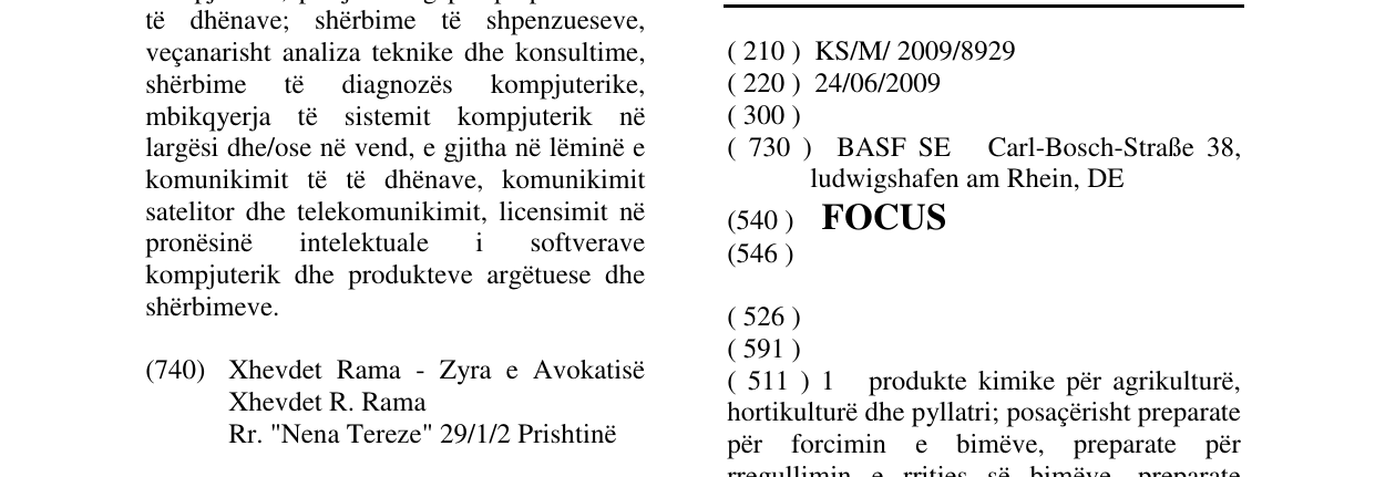 Zëri i markës FOCUS në buletin