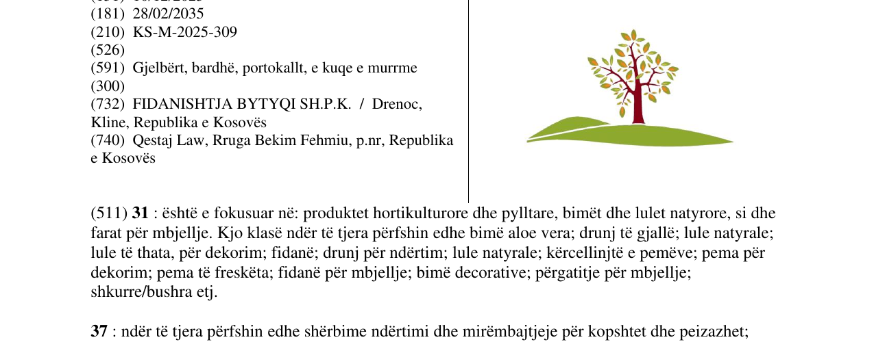 Zëri i markës FIDANISHTJA BYTYQI në buletin