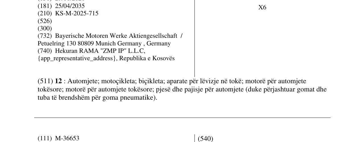 Zëri i markës X6 në buletin