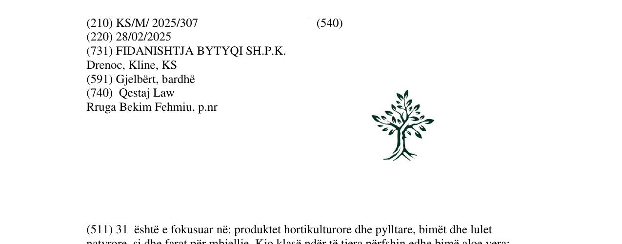 Zëri i markës Markë figurative në buletin
