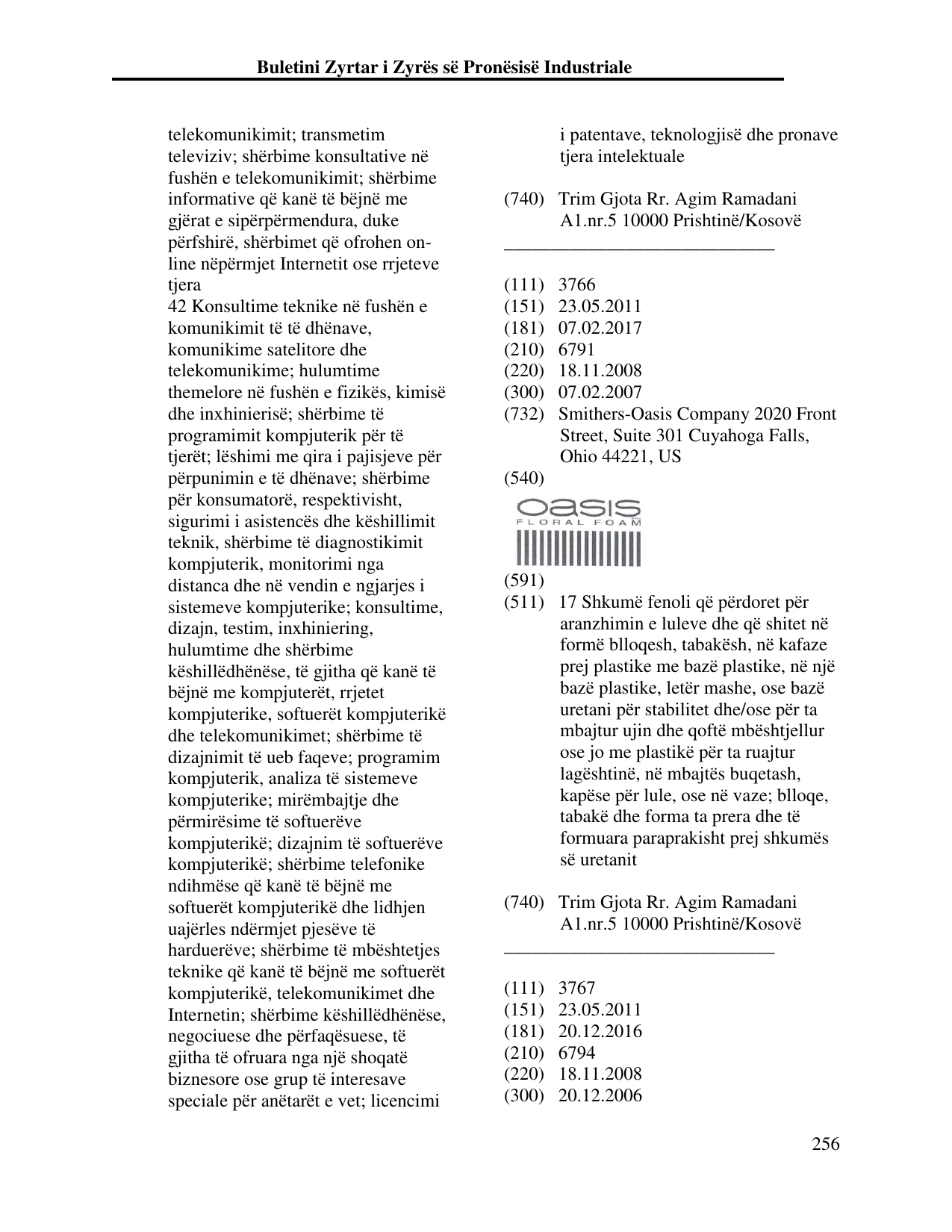 Faqja 256 e buletinit