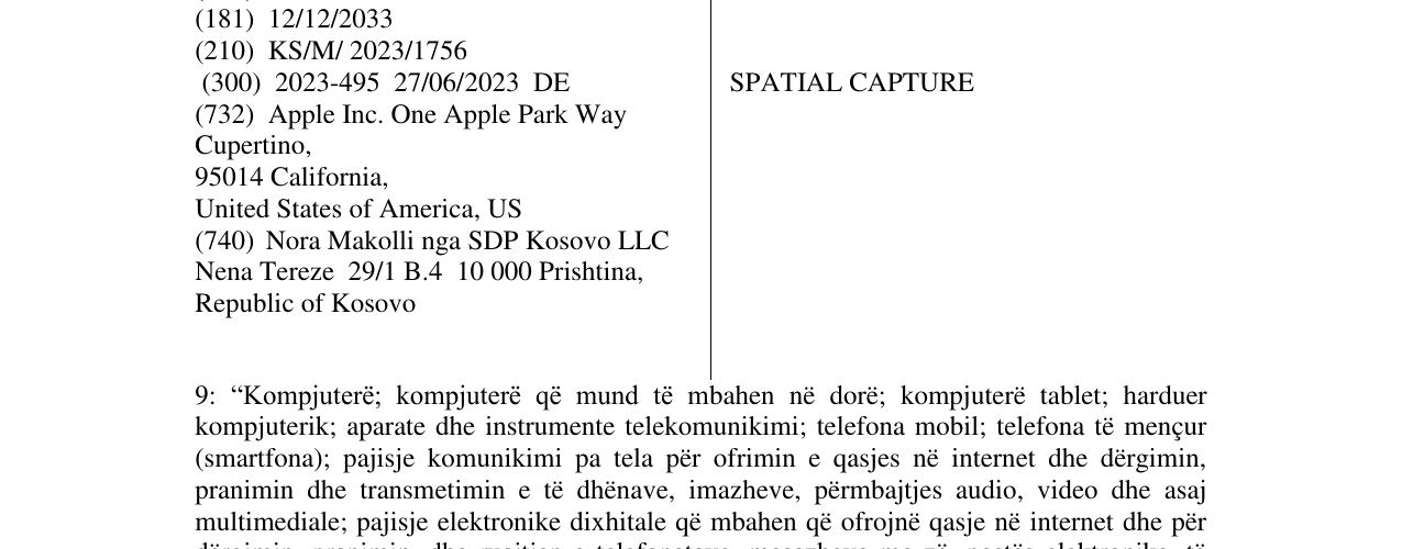 Zëri i markës SPATIAL CAPTURE në buletin