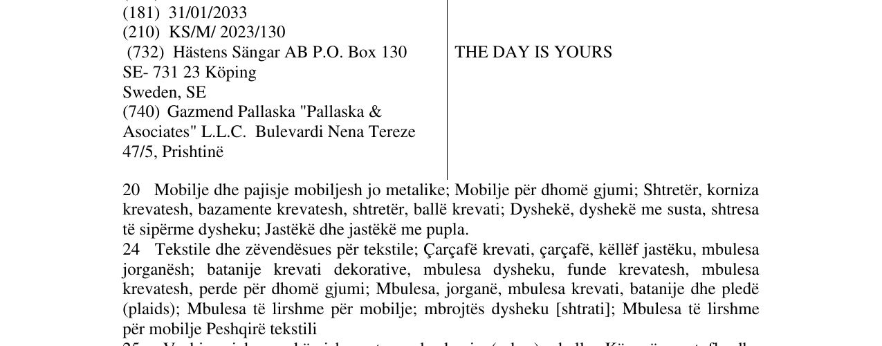 Zëri i markës THE DAY IS YOURS në buletin