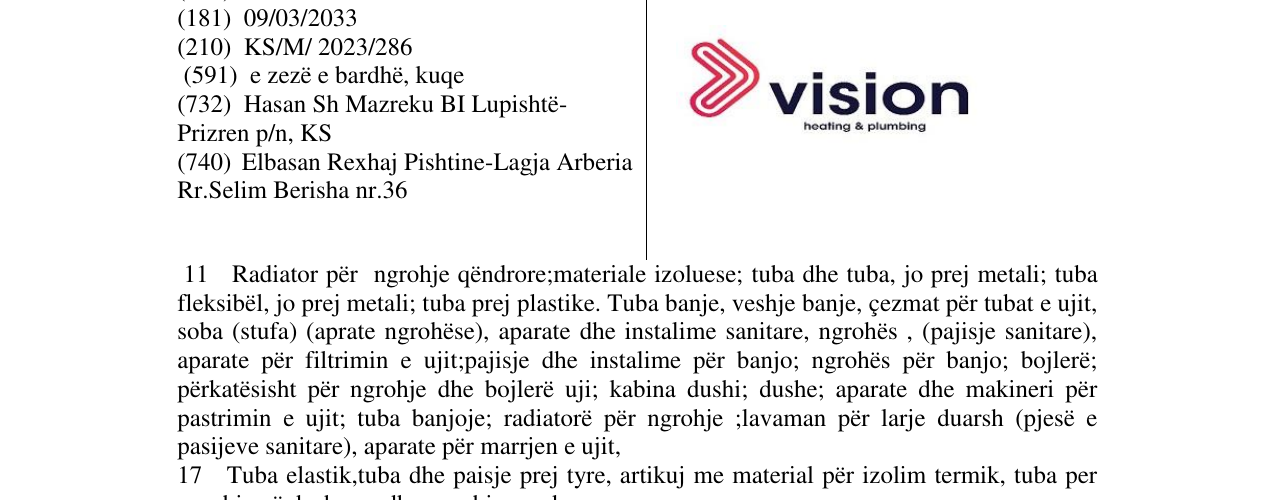 Zëri i markës vision në buletin