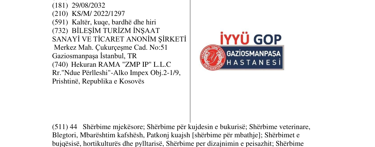 Zëri i markës Markë figurative në buletin