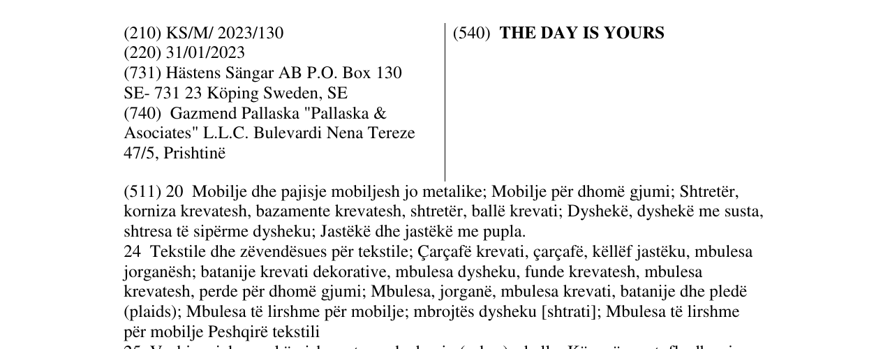 Zëri i markës THE DAY IS YOURS në buletin