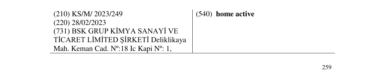 Zëri i markës home active në buletin