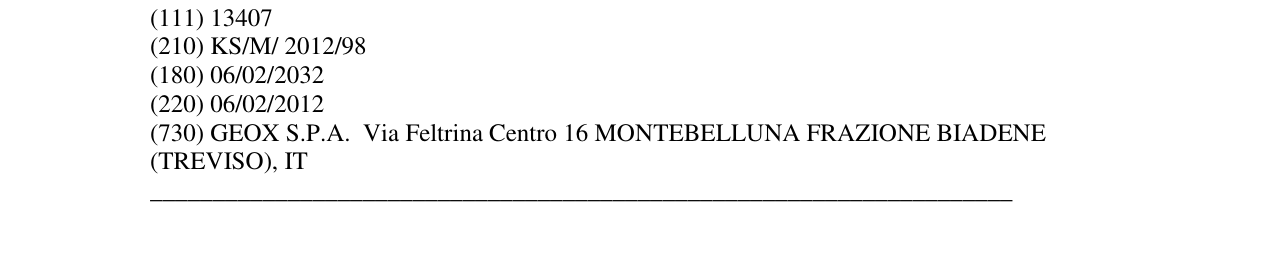 Zëri i markës Markë figurative në buletin