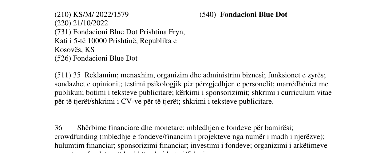 Zëri i markës Fondacioni Blue Dot në buletin