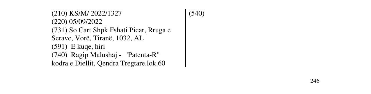 Zëri i markës Markë figurative në buletin