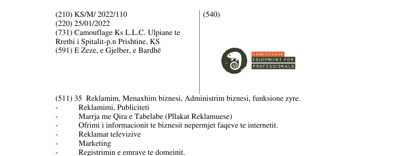 Zëri i markës CAMOUFLAGE në buletin