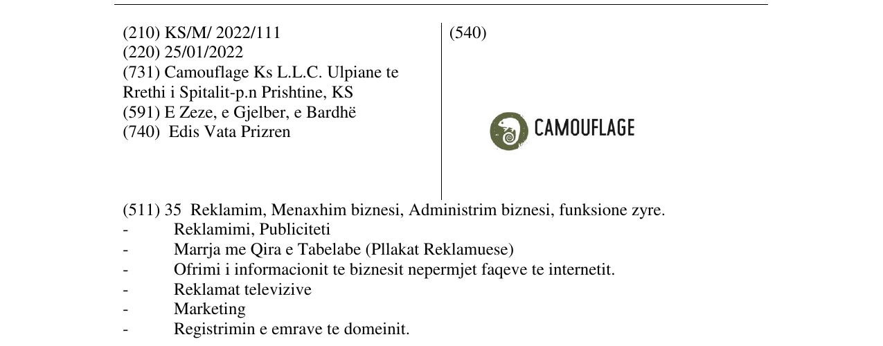 Zëri i markës CAMOUFLAGE në buletin