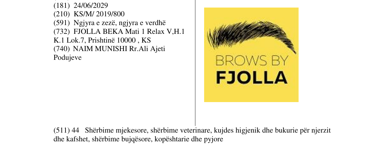 Zëri i markës BROWS BY FJOLLA në buletin