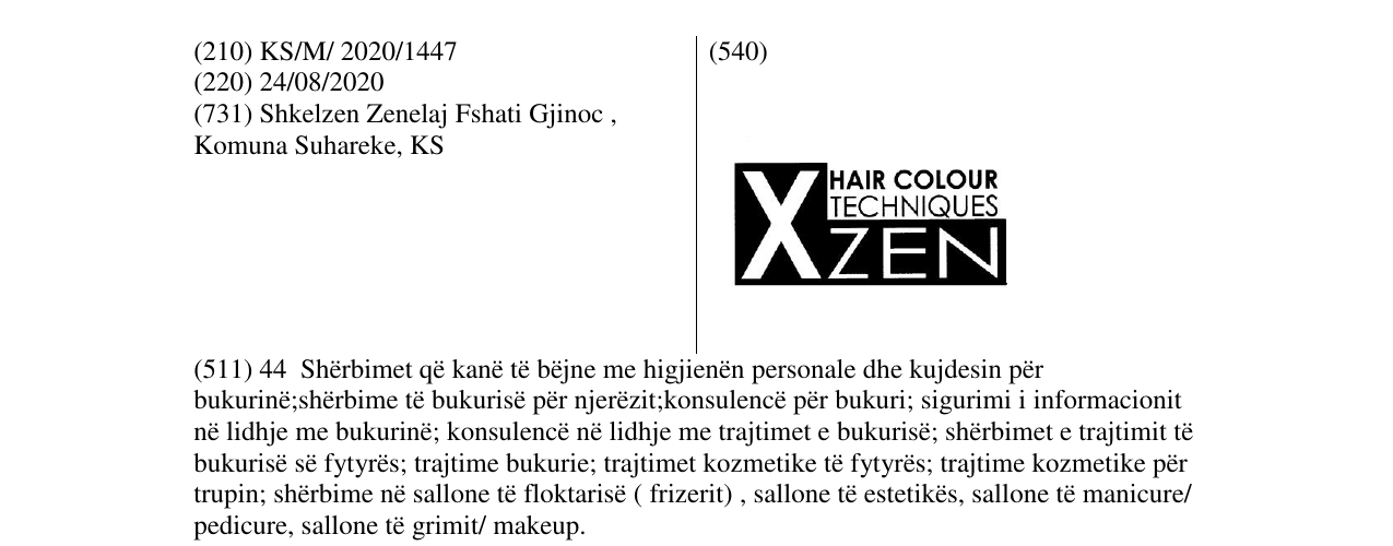 Zëri i markës XZEN - HAIR COLOUR TECHNIQUES në buletin