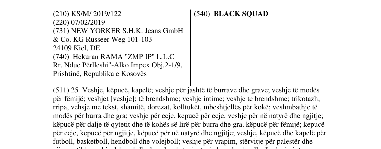 The entry of the trademark BLACK SQUAD in the bulletin