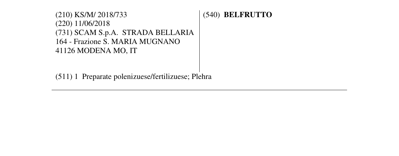 Zëri i markës BELFRUTTO në buletin