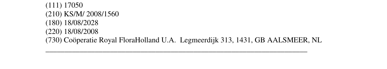 Zëri i markës FloraHolland në buletin