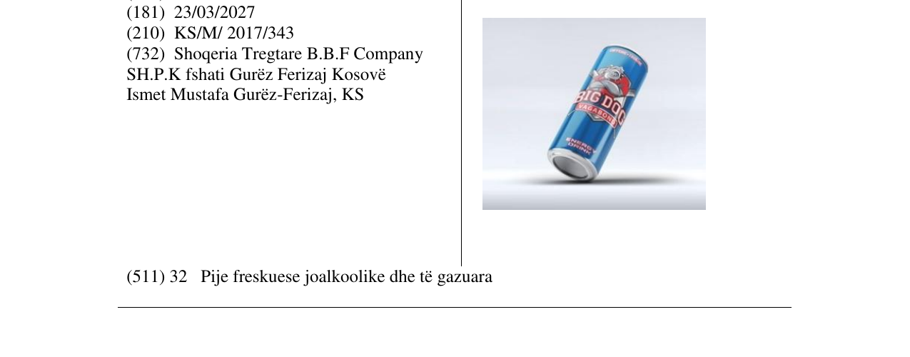 Zëri i markës BIG DOG në buletin