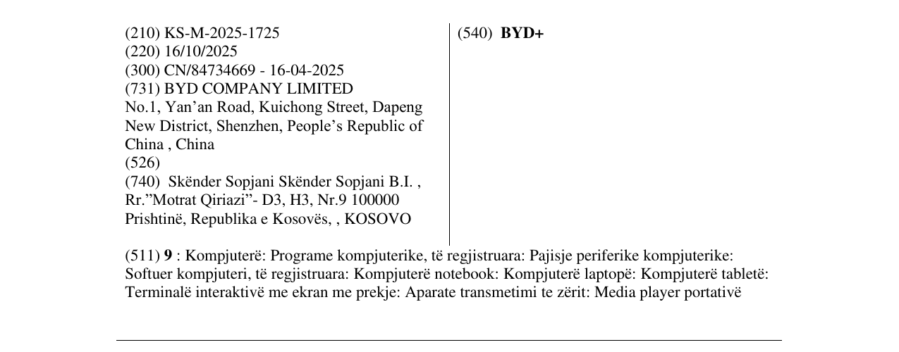 Zëri i markës BYD+ në buletin