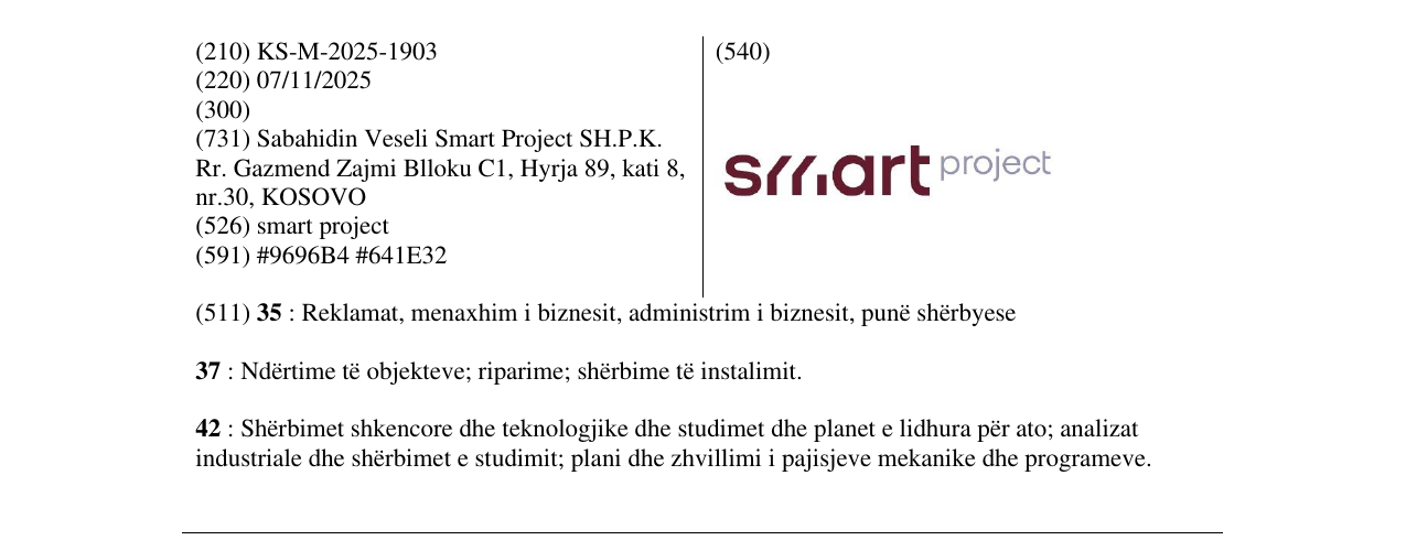 Zëri i markës smart project në buletin