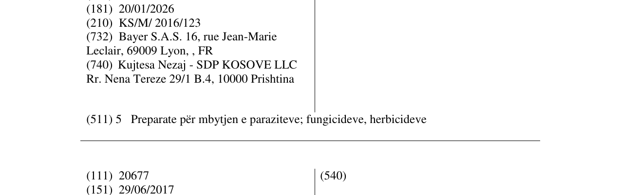 Zëri i markës MIKAL në buletin