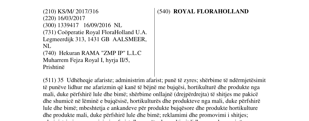 Zëri i markës ROYAL FLORAHOLLAND në buletin