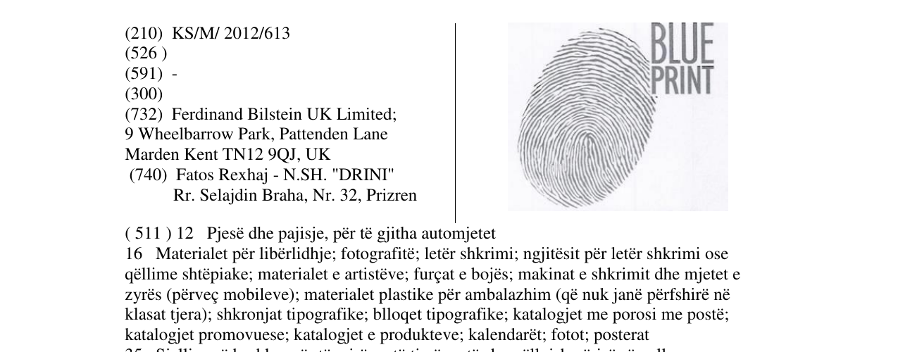 Zëri i markës BLUE PRINT & Thumbprint logo në buletin