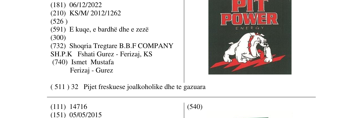 Zëri i markës PIT POWER në buletin