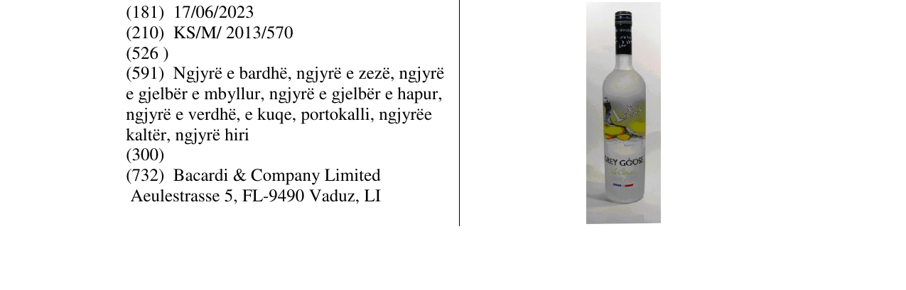 Zëri i markës Markë figurative në buletin