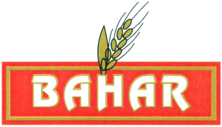 Paraqitja e markës BAHAR