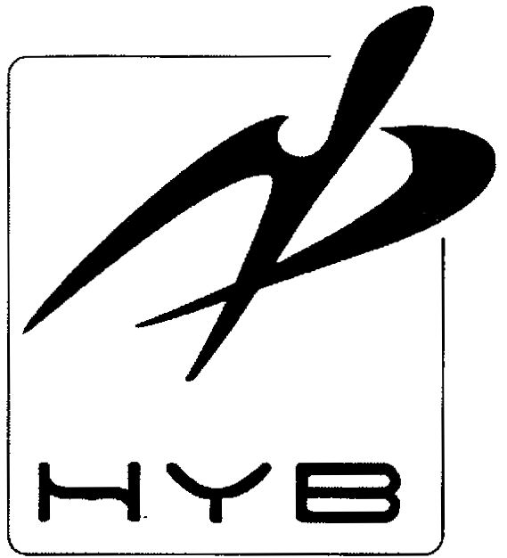 Paraqitja e markës HYB