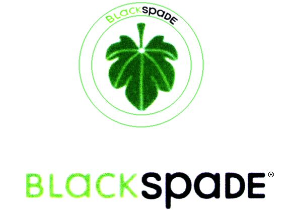 Paraqitja e markës BLACK spade