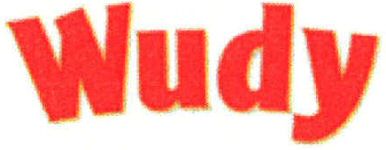 Paraqitja e markës Wudy