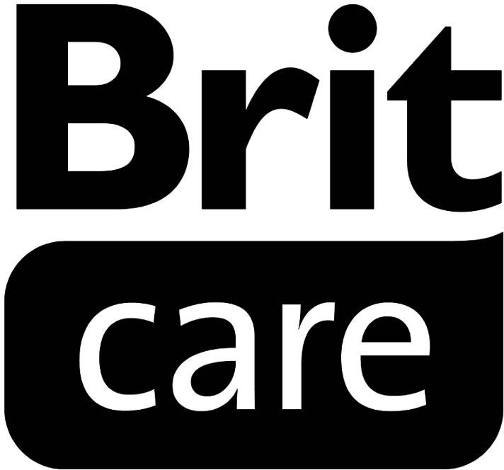Paraqitja e markës Brit care